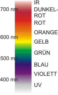 Spektrum sichtbaren Lichts